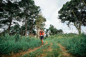 BIB: 
                            <button type="button" onclick="openModal(26024098)" class="btn btn-primary btn-sm float-right btn-popup" data-toggle="modal" data-target=".modal-high-quality">
                        <i class="fas fa-shopping-cart"></i> Add to Cart
                    </button>
                                            <button type="button" onclick="isThisMe(26024098, true)" class="btn btn-success btn-sm float-right btn-popup btn-isme hidden" data-toggle="tooltip" data-placement="bottom" title="นี่คือรูปของคุณใช่ไหม คลิกที่นี่เพื่อเอาเข้าอัลบั้ม">
                        <i class="fas fa-plus"></i> Add to album
                    </button>
                    <button type="button" onclick="isThisMe(26024098, false)" class="btn btn-warning btn-sm float-right btn-popup btn-isnotme hidden">
                        <i class="fas fa-ban"></i> Remove from album
                    </button>